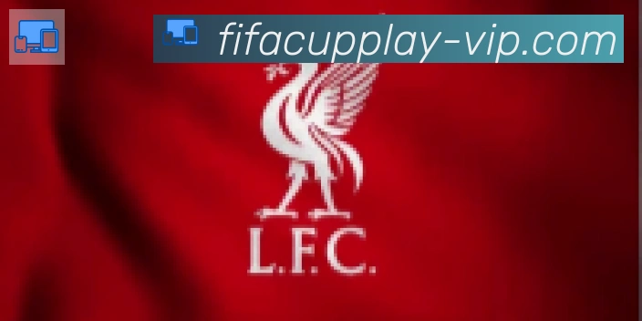 FIFA世界杯玩法官方网站合作伙伴